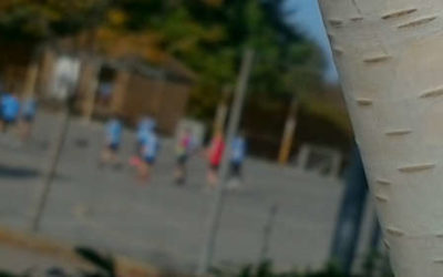 Weekly Wows – June 12